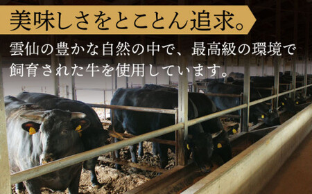 長崎和牛 サーロイン ステーキ 約400g【焼肉おがわ】[QBI003]