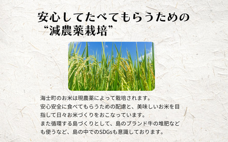 【定期便6ヵ月】計60kg！コシヒカリ 10kg×6か月定期便 お米 新米 精米 白米 弁当 ごはん ご飯 こしひかり 年末年始 お正月 お歳暮 御歳暮 ギフト 定期便