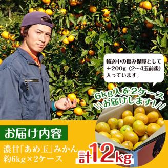 i571 先行予約受付中！＜2026年11月中旬～2027年1月中旬の間に発送予定＞【特別栽培・最高金賞】濃甘あめ玉みかん(3S~M / 計約12kg・6kg×2箱＋傷み保障 約200g(3～4玉))