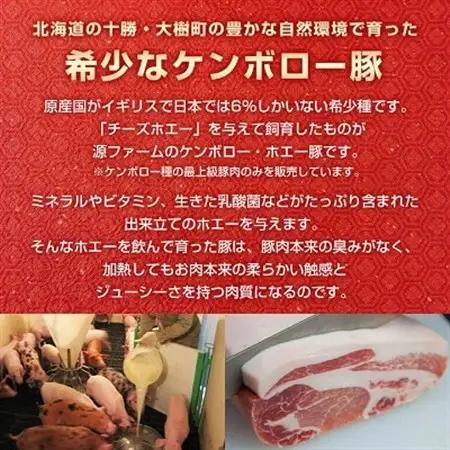 北海道十勝のグルメ!ホエー豚の豚丼セット(10人前)_肉  豚肉   調味料   _【配送不可地域：離島】【1396942】