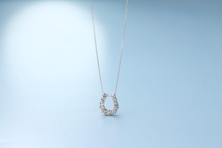 【プラチナ900 ダイヤモンドネックレス】Dia11粒 0.363ct 幸福の馬蹄デザインネックレス / KPN90007