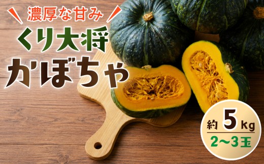 訳あり かぼちゃ くり大将 《訳あり/正規品・容量が選べる！》訳あり 茨城県産 くり大将 約5kg (2玉〜3玉) / 約10kg (5玉〜6玉) 【茨城県 下妻市産 かぼちゃ カボチャ 南瓜 くり大将 くりたいしょう 採れたて 旬野菜 季節の野菜 甘い おすすめ】