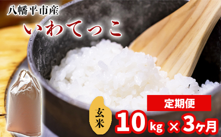 【2024年11月発送開始】 新米 岩手県産 いわてっこ 玄米 10kg （5kg×2袋） × 3ヶ月定期便 ／ 米 産地直送 農家直送 【中沢農産】