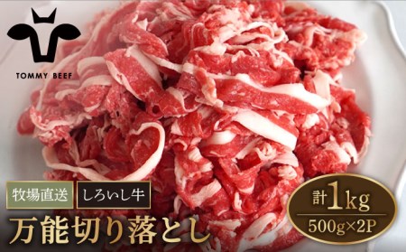 【牧場直送】佐賀県産しろいし牛 万能切落し 1kg（500g×2パック） 【有限会社佐賀セントラル牧場】 [IAH005]