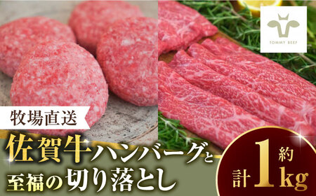 佐賀牛100％ハンバーグ4個と至福の切り落とし500g / 佐賀県 / 有限会社佐賀セントラル牧場 [41ASAA092]