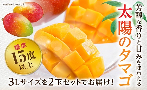 《2025年発送先行予約》【期間・数量限定】太陽のタマゴ3L　2玉
