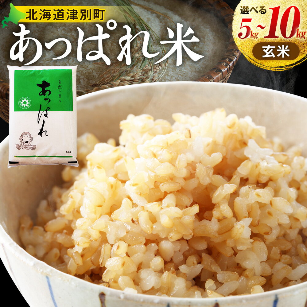 【ふるさと納税】【令和8年産・早期予約受付】北海道産 津別町あっぱれ米（玄米）5～10kg | 米 お米 新米 玄米 国産米 農家直送 産地直送 北海道 津別町 送料無料