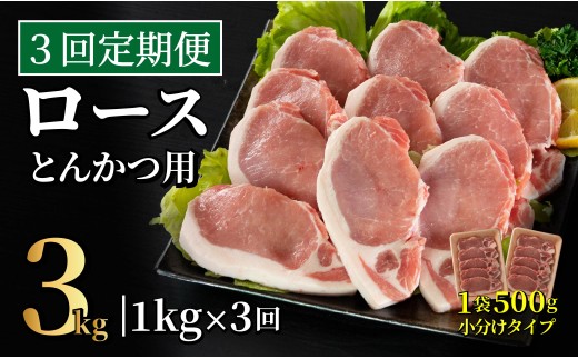B610 《定期便》長崎県産豚 ロースとんかつ用計1kg(100g×5枚×2) 【3回お届け】