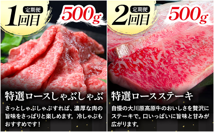 《定期便》全4回お届け！大川原高原牛 特選ロース(しゃぶしゃぶ・ステーキ・焼肉・スライス 各500gずつ) 株式会社肉の藤原 《お申込み月翌月から出荷開始》牛肉 定期便 月1回 徳島県 佐那河内村 s