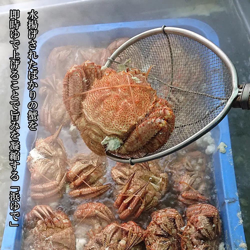 【大サイズ】北海道産 冷凍ボイル毛ガニ (700g-800g前後) 5尾 AS195
