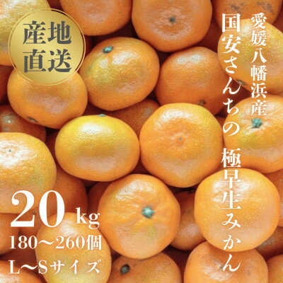 【ふるさと納税】【創業85年 親子4代 愛媛みかん 一筋】愛媛八幡浜産 極早生みかん 20kg【H20-86】【1625218】