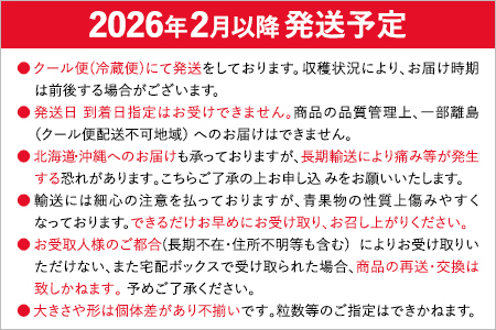 【先行予約/2025年】大木町産 あまおう いちご 約270ｇ×4パック《2025年2月以降順次発送》イチゴ 苺 果物 おすすめ 福岡県 大木町 CL001