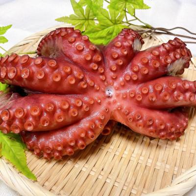 ふるさと納税 鹿嶋市 茨城県 鹿島だこ 700g〜800g