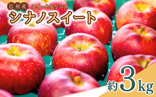 【2026年先行予約】スイートなりんご シナノスイート 3kg | 信州りんご 長野りんご リンゴ 林檎 千曲市 長野県産 信州