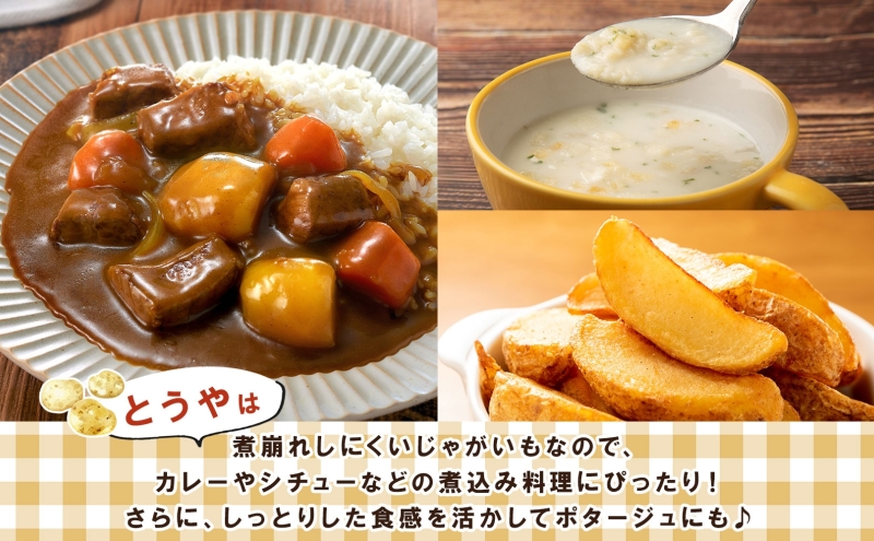 雪蔵じゃがいも 10kg とうやＬサイズ 2026年3月上旬～3月末までお届け ジャガイモ 芋 甘い なめらか しっとり ポタージュ カレー 調理 料理 煮込み料理 雪蔵 旬 季節 農作物 野菜 根菜