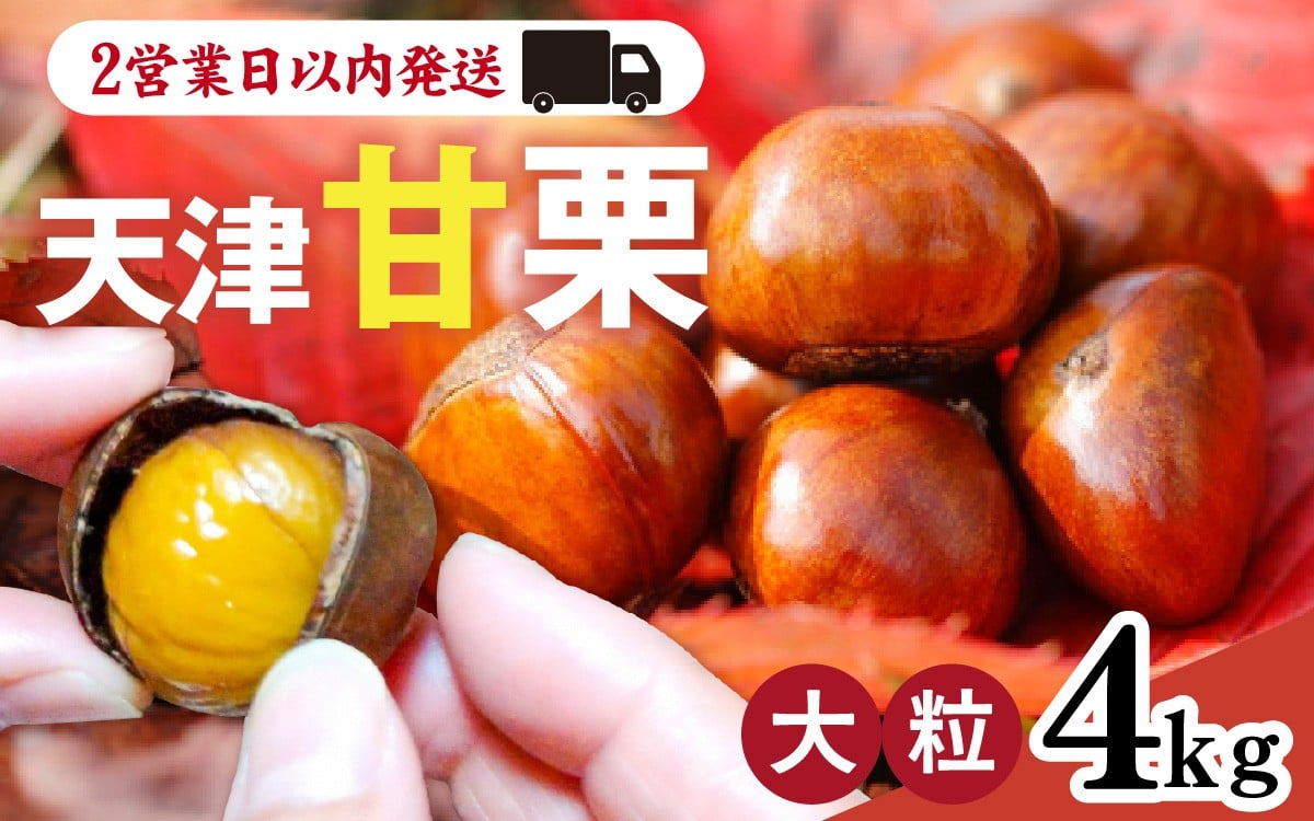 
            天津甘栗 4kg  ／ 甘栗 栗 兵庫 兵庫県 特選大粒栗 大粒 おやつ お菓子 スイーツ 栗好き 焼き栗 焼き マロン こだわり製法 新栗 スピード発送 最短2営業日発送
          