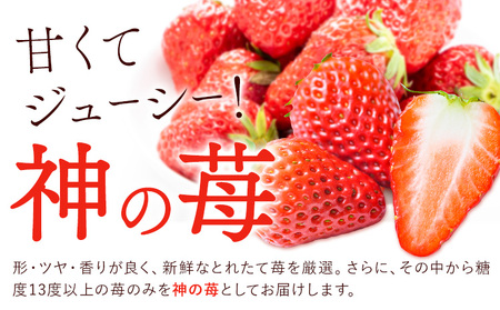 いちご 神石イチゴファームの苺 神の苺 9粒 約360g  I-temホールディングス株式会社《12月中旬-3月末頃出荷》いちご イチゴ 苺 フルーツ 果物 送料無料
