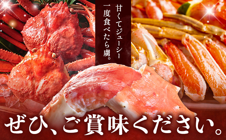 【ふるさと納税】カニ 紅ズワイガニ 3kg(6杯 〜 7 杯) 《9月上旬-5月末頃出荷》 SOO合同会社 鳥取県 八頭町 送料無料  蟹 かに 姿 鍋 ズワイガニ  ズワイ蟹 ボイル ベニズワイ ベ