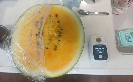 西瓜（スイカ）/赤土　金色羅皇 果物 くだもの デザート 石川県 珠洲市