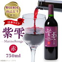 【ふるさと納税】山ぶどうワイン紫雫MarineRouge　赤　750ml×1本【1289897】