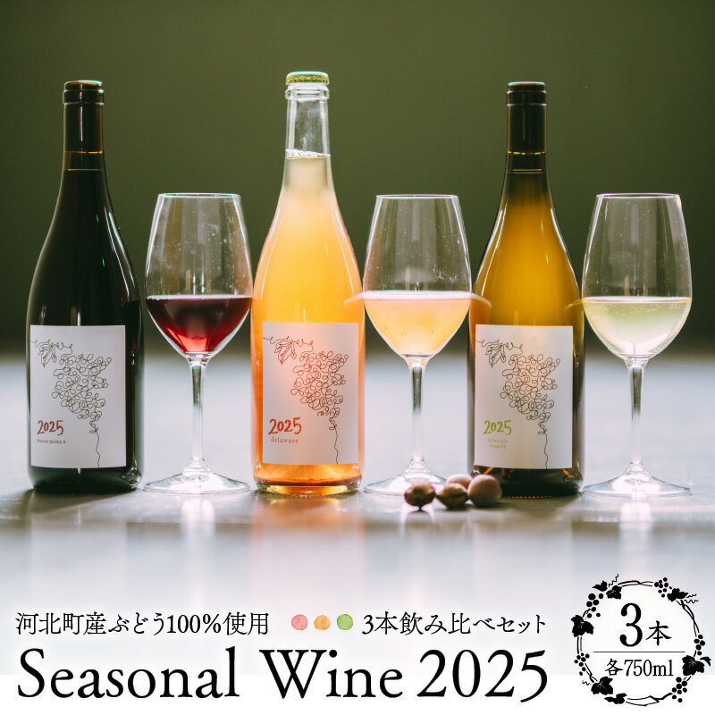 【ふるさと納税】Seasonal Wine 2025 3本飲み比べセット （オレンジ・赤・白）| ワイン 赤ワイン 白ワイン オレンジワイン 国産ワイン マスカットベーリーA デラウェア ナイアガラ ペットナット 微発泡 ギフト プレゼント 贈り物 お取り寄せ 山形県 河北町