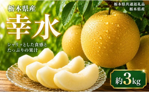 【2027年先行予約】幸水 約3kg | 【栃木県共通返礼品】梨 なし ナシ 新品種 先行予約 大粒 新鮮 甘い 美味しい 果物 くだもの フルーツ ふるーつ 共通返礼品 フルーツ デザート 栃木県 那珂川町