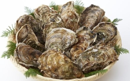 牡蠣 訳あり 加熱用 殻付き牡蠣３kg 冷凍