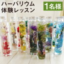 【ふるさと納税】癒しのハーバリウム 体験レッスン(1名様) 植物標本 ハーバリウム 花 手芸 インテリア チケット 体験