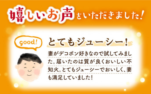 【☆先行予約☆】【 春 柑橘 】 不知火 （ しらぬい ）約4.5～5kg＜川添みかん園＞ [CCT009]