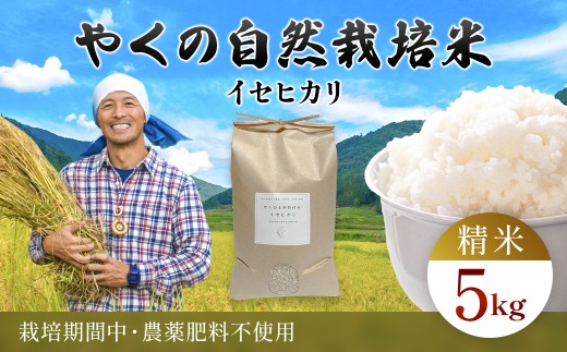 令和8年産先行予約 やくの自然栽培米 イセヒカリ 5kg 精米 （白米） / 自然栽培米 自然栽培 こめ コメ 米 白米 精米 イセヒカリ いせひかり お米 ごはん やくの 夜久野 京都府 福知山市 FCEV011