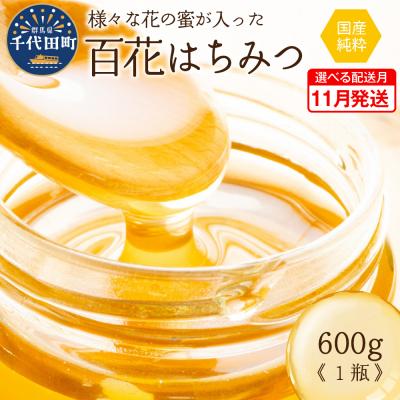 ふるさと納税 千代田町 《2025年11月発送》 はちみつ 千代田町の蜂蜜 600g 百花蜂蜜 ch011-001rr-11