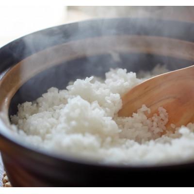 ふるさと納税 養父市 2025年9月以降発送【蛇紋岩銀粒　彩りの舞20kg】 |  | 01