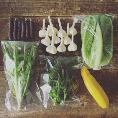 【ふるさと納税】【五戸町】季節の野菜セットおまかせ詰め合わせ(6～8種類程度)【配送不可地域：離島・沖縄県・九州】【1594858】