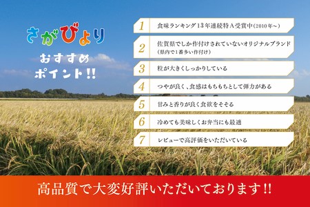 令和5年産 さがびより 10kg【米 5kg ×2袋 お米 コメ こめ 国産 美味しい ブランド米 人気 ランキング】(H015147)