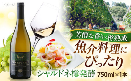 シャルドネ樽発酵 ワイン 白 750ml×1本 シャルドネ シャルドネ シャルドネ 奥出雲葡萄園 [AICS042]