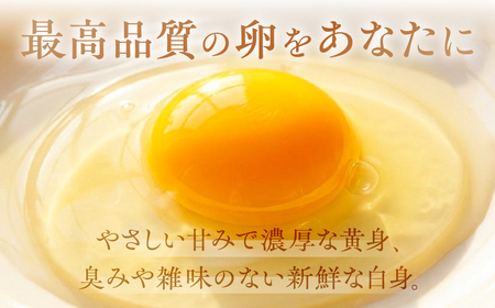 産みたてたまご 30個 ( 割れ保証込み 25個 ＋ 5個 ) 卵 たまご ナガイタマゴ 鶏卵 卵かけごはん 海苔 エサ 赤玉 パック 赤鶏 卵かけご飯 玉子焼き 玉子 国産 新鮮 小分け パック ギ