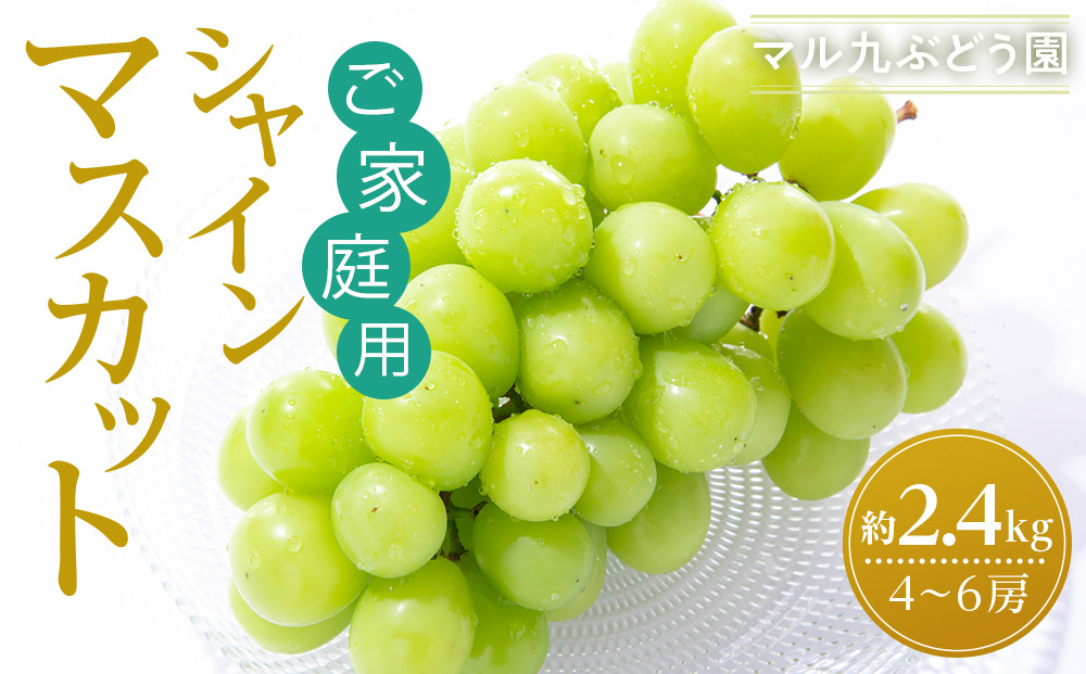 【先行予約】【訳あり・数量限定】 シャインマスカット 約2.4kg 〔2025年8月中旬より順次発送〕 232238_CR06