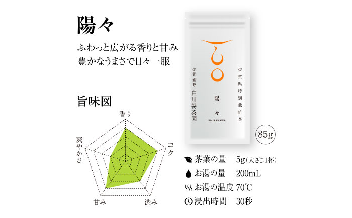 【ギフト箱・のし】白川稔の技ありセット｢撰（せん）｣ 計300g / お茶 日本茶 嬉野茶 緑茶 / 佐賀県 / 白川製茶園 [41AIAB013]