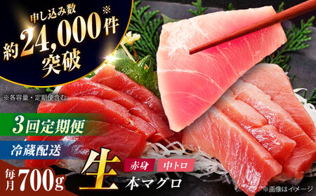 【全3回定期便】五島列島産養殖生本かみまぐろ 赤身 中トロ 計約700g[RBP067] 本マグロ 本まぐろ 定期便 本マグロ 本まぐろ 定期便 本マグロ 本まぐろ 定期便九州 長崎