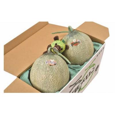 ふるさと納税 夕張市 【先行予約受付中】メロン熊くたくたストラップと夕張メロン2玉(等級:優1玉約1.3kg)W20