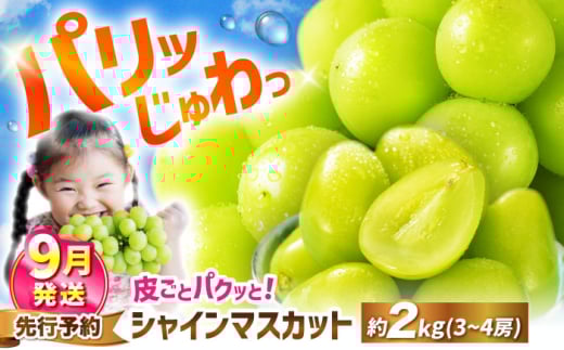 シャインマスカット 【2026年9月発送】約2kg（3～4房） マスカット ＜濱崎農園＞ [CGN006] 先行予約 ぶどう しゃいんますかっと ブドウ 葡萄 1キロ以上 1kg以上 2kg 鮮度抜群 種なし たねなし 皮ごと 大粒 朝採れ こだわり 期間限定 大粒