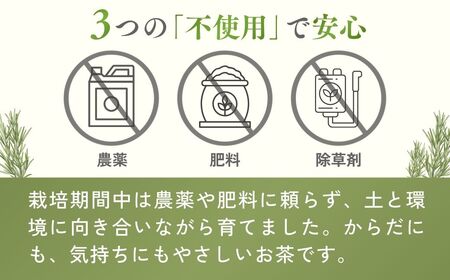 ハーブティー レモングラス茶 2袋セット | ハーブティー お茶