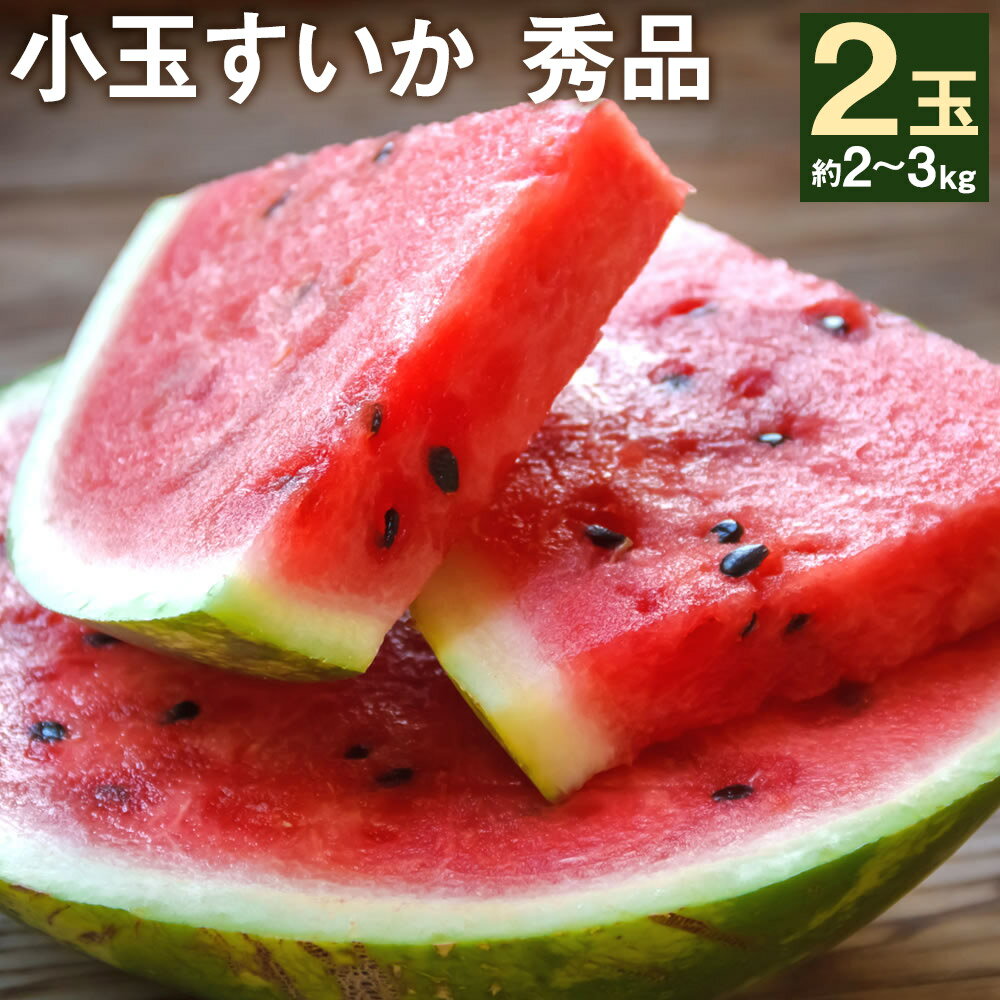 【ふるさと納税】小玉すいか 秀品 2玉 約2〜3kg L〜3L混合 スイカ 西瓜 果物 夏 フルーツ 菊池市産 熊本県産 九州産 送料無料 《5月下旬-7月下旬頃発送予定》