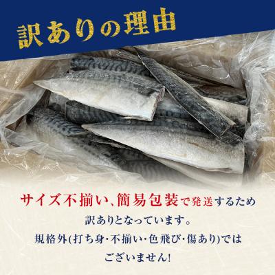 ふるさと納税 石巻市 さば < 訳あり > 無添加 無塩サバフィレ 3.5kg 冷凍 魚 青魚 不揃い 規格外 |  | 01