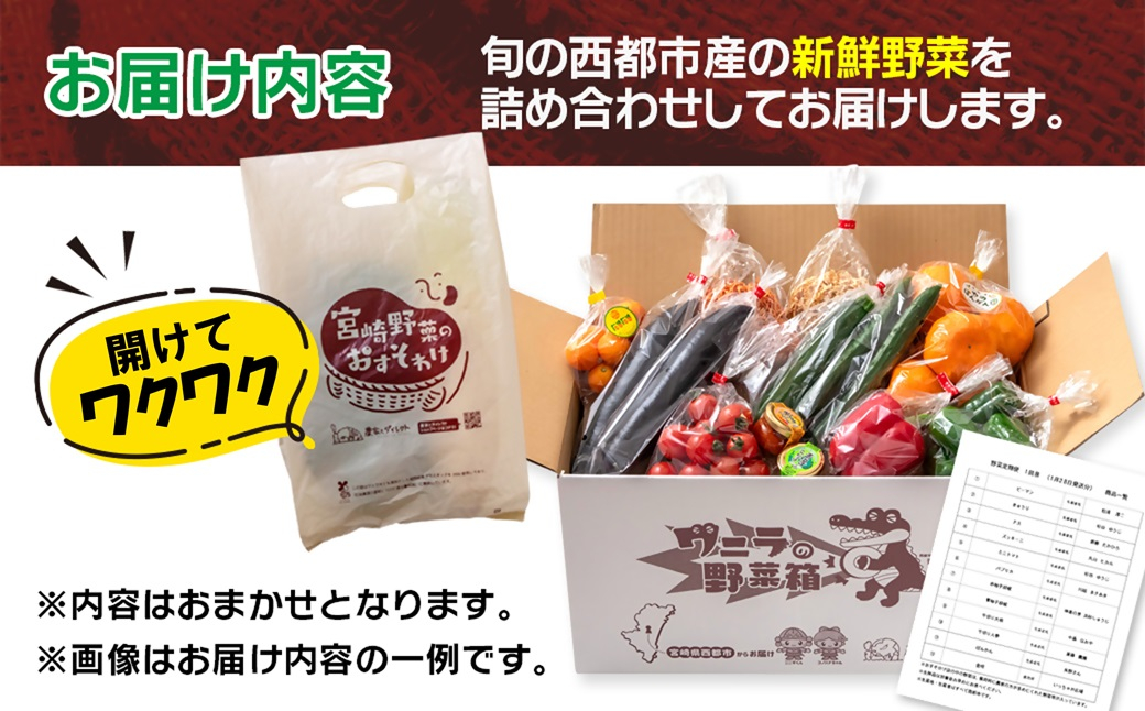【3回定期便】西都市旬の特産詰め合わせセット 野菜・スイートコーン等＜32-4a＞野菜