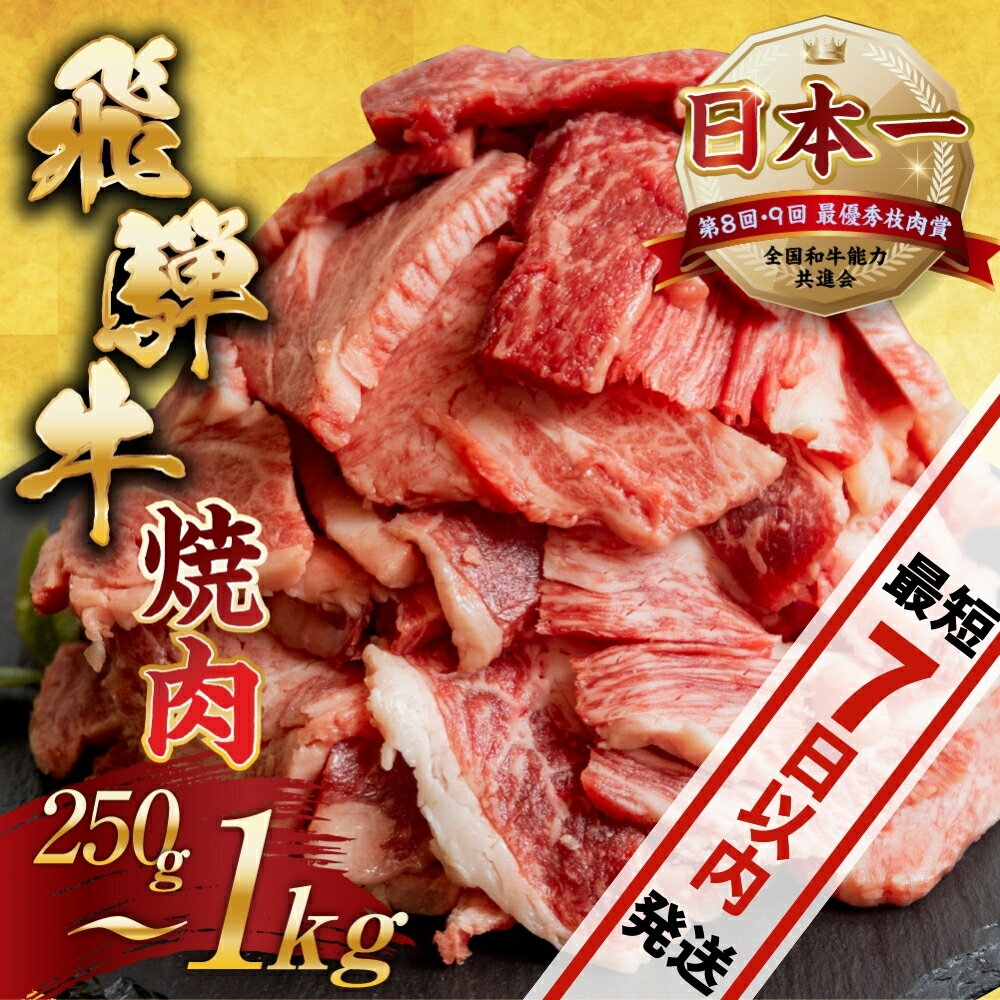 【ふるさと納税】 訳あり 飛騨牛 焼肉 切り落とし 250g | 400g | 500g | 600g | 500g×2 計1kg | 牛肉 肉 切落し 和牛 国産牛 わけあり 不揃い 小分け 冷凍 本巣市 トキノ屋 BBQ バーベキュー 人気 焼き肉 [mt656] 25000円 15000円 13000円 10000円 7000円 6000円