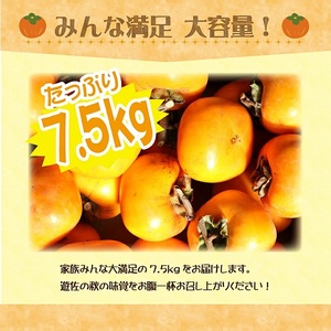 1223　遊佐町産庄内柿7.5kg