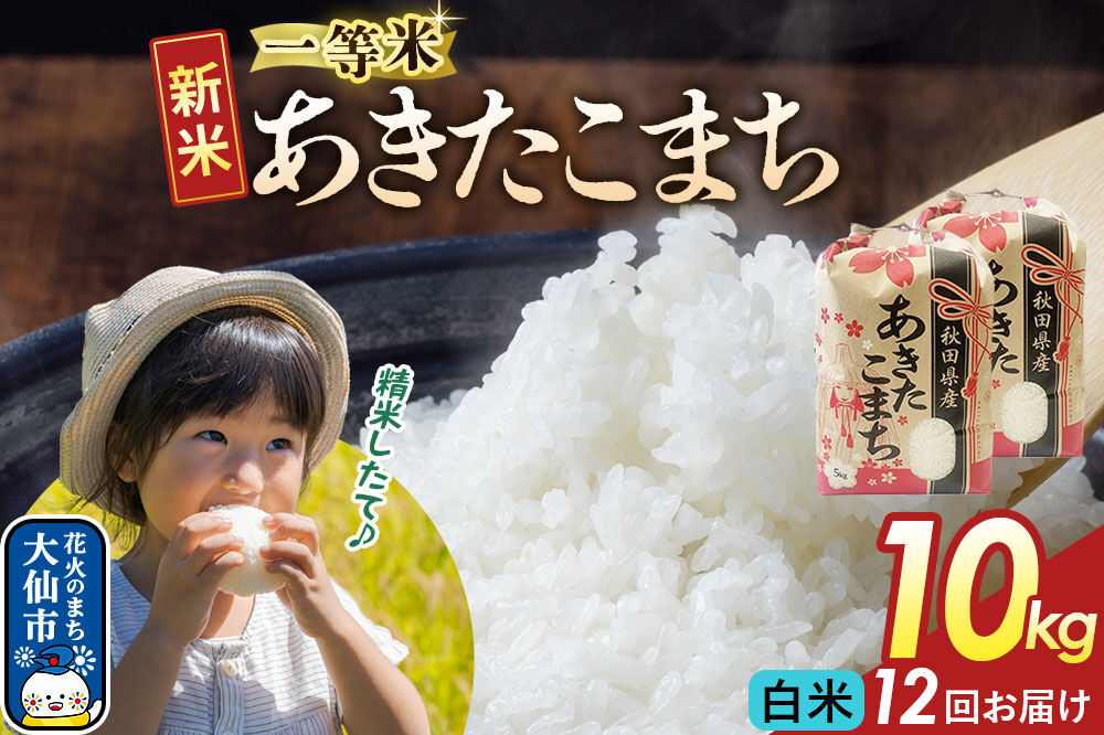 《新米》 《定期便12ヶ月》【白米】あきたこまち 一等米 10kg（5kg×2） 秋田県産 令和8年産  こまちライン 秋田県 大仙市産 [秋田 お米 米どころ あきたこまち こまちライン]