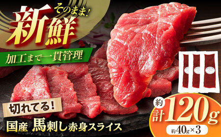 国産馬刺し 3P 計約120g 馬刺し 新鮮馬刺し 馬刺し 熊本馬刺し 冷凍馬刺し [BHAD006]