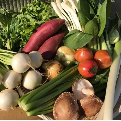 ふるさと納税 行方市 『身体が喜ぶ野菜』(おまかせ10〜12品) |  | 02